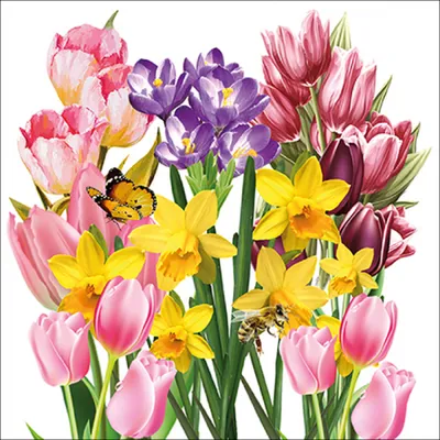 Produktbild von Servietten Papier 33x33cm 3-lag mit Tulpen & Narzissen Motiv 20 Stk