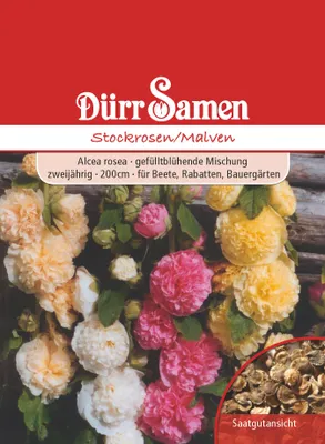 Produktbild von Dürr-Samen - Stockrosen/ Malven zweijährig 200 cm - Saatgut - 0859