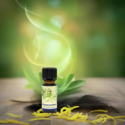 Produktbild von Erfrischend – Zitronenverbene  – ätherisches Öl - 10 ml