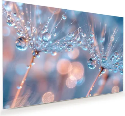 Produktbild von Glasbild 90x60cm in XXL für Wohnzimmer, Schlafzimmer Motiv Wassertropfen Kunst