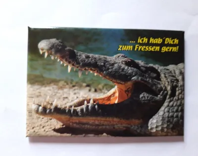 Produktbild von Magnet Krokodil. ich hab´ Dich zum Fressen gern!, 8 x 5,5 cm, Kühlschrankmagnet Tiere Krokodile