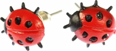 Produktbild von Marienkäfer Ohrstecker Miniblings Stecker Ohrringe Käfer Ostern Kinder Mädchen