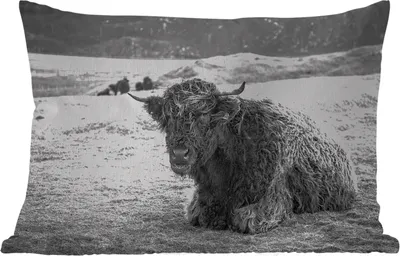 Produktbild von MuchoWow® Outdoor Kissen - Schottisches Hochlandrind - Berg - Tiere - 60x40 cm - Wetterfest - Lounge Kissen - Zierkissen - Kissen für Innenräume