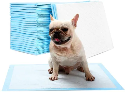 Produktbild von 100 kusů Puppy Pad Puppy Training Mat Pet Plenka Mat pro štěňata Toaletní psi Puppy Pad 33 x 45 cm