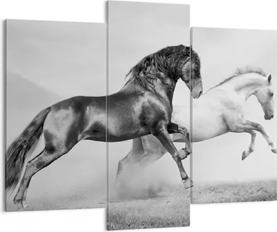 Produktbild von Bild auf Leinwand - Leinwandbild - Pferde Tiere Galopp Wiese - 130x100cm - Wand Bild - Wanddeko - Leinwanddruck - Bilder - Kunstdruck - Wanddekoration - Leinwand bilder - Wandkunst - CB130x100-2683