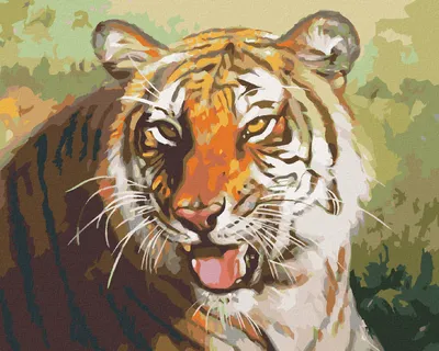 Produktbild von Zuty - Malen nach Zahlen - RUHENDER TIGER PORTRÄT (D. RUSTY RUST), 40x50 cm, mit Keilrahmen (bereits gespannt)