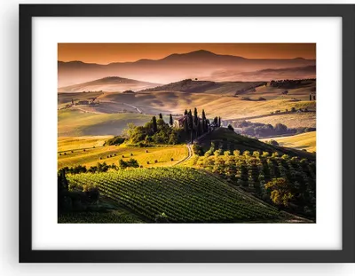 Produktbild von Gerahmtes Poster - Schwarzer Rahmen - Landwirtschaft Bauernhof Toskana Weinberg - 40x30 cm - Wand Bild - Wanddeko - Wandbilder - Wandposter - Bilderrahmen - Bilder - Kunstdruck - P2BAA40x30-2465