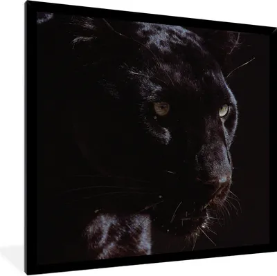 Produktbild von MuchoWow® Gerahmtes Poster Panther - Tier - Schwarz 40x40 cm - Poster mit Schwarzem Bilderrahmen Wandposter Rahmen Foto Bilder - Mit Rahmen - Wanddekoration Schlafzimmer