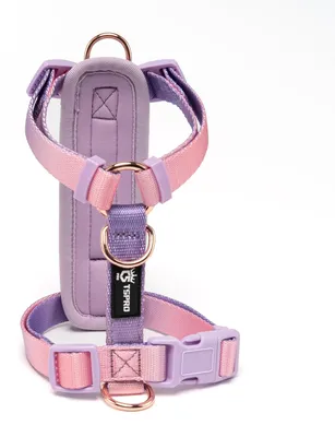 Imagen del producto de Arnés para perros pequeño, ajustable, talla 1, transpirable, ideal para paseos