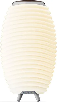 Produktbild von KOODUU Synergy 50 Tragbarer LED Bluetooth Lautsprecher mit Getränkekühler