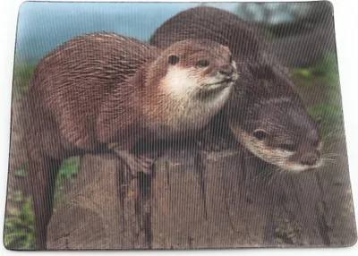 Produktbild von Onwomania Otter Lutrinae Wassermarder 9x7cm 3D Magnet Karte Kühlschrankmagnet Magnetbild Heftmagnet Braun