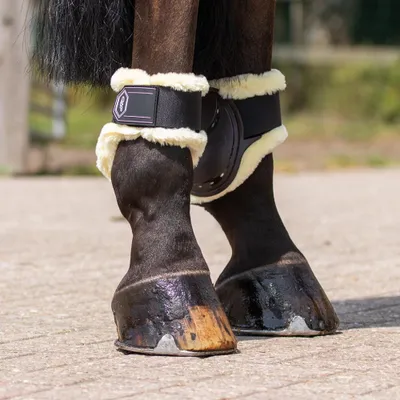 Produktbild von QHP Streichkappen Tario, Farbe:Braun, Größe:Pony