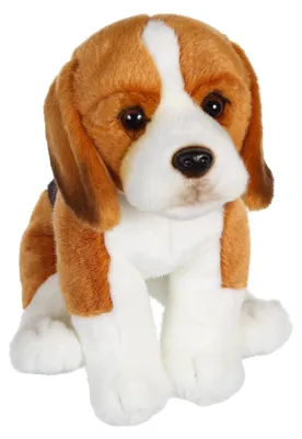 Productafbeelding van Pluche hond knuffelhond - Beagle - 25 cm - Zittend