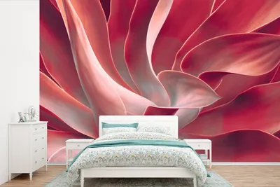 Produktbild von MuchoWow® Fototapete für Wohnzimmer oder Schlafzimmer Wandtapete Vinyl Motivtapete Stillleben - Blätter - Pflanze - Rosa - 600x400 cm - Vinyltapeten
