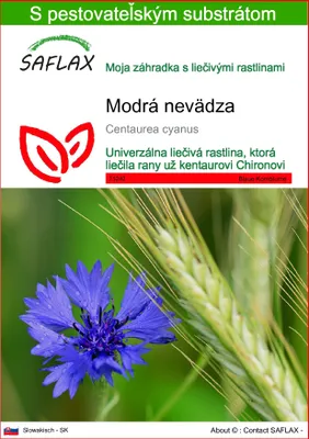 Obrázok produktu pre SAFLAX - Modrá nevädza - Centaurea cyanus - 27000 Semená - S pestovateľským substrátom bez klíčkov