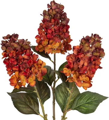 Obrázek produktu pro sada 3 hortenzie umělých květin panicle hortenzie oranžová 73CM hedvábí pro podzimní dekorace