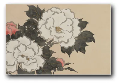 Produktbild von Kunstdruck „Pfingstrosen (Momoyogusa)“ von Kamisaka Sekka – 30×45 cm – ungerahmt