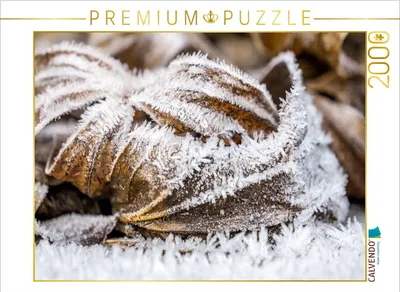 Produktbild von CALVENDO Puzzle Raureif am Morgen 2000 Teile Puzzle quer | 2000 Teile Lege-Größe 90x67cm Foto-Puzzle für glückliche Stunden