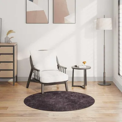 Produktbild von vidaXL Teppich Waschbar φ120 cm Anthrazit