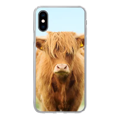 Produktbild von MuchoWow® Handyhülle Schutzhülle Hülle für iPhone X Schottischer Highlander - Haare - Gras Silikon Softcase Handy Hülle - Handyhülle
