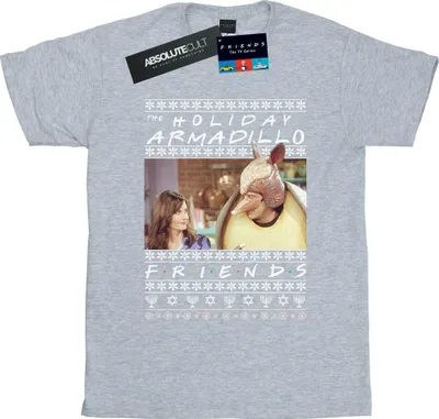 Produktbild von Friends - "Holiday Armadillo" T-Shirt für Damen BI23621 (XXL) (Grau)
