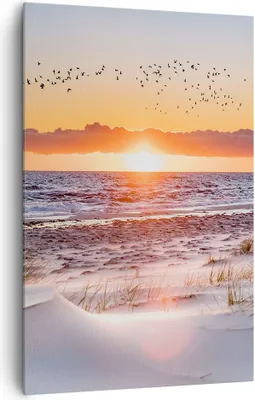 Produktbild von Bild auf Leinwand - Leinwandbild - Einteilig - Sonne Strand Vögel - 80x120cm - Wand Bild - Wanddeko - Wandbilder - Leinwanddruck - Wanddekoration - Leinwand bilder - Wandbild - PA80x120-4727
