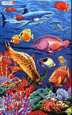 Productafbeelding van Kinderspeelgoed - Puzzel van de Onderwaterwereld met 25 stukjes