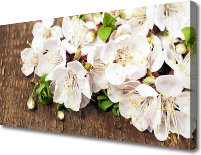 Produktbild von Tulup Leinwand-Bilder 100x50 Wandbild Canvas Kunstdruck Blumen Pflanzen