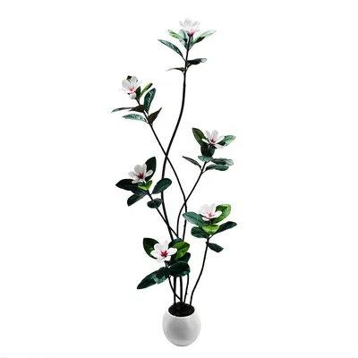 Imagen del producto de Árbol de caucho y magnolia artificial, 210 cm de altura, color verde. Gran planta artificial en maceta blanca, ideal para interiores