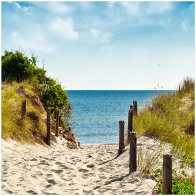 Produktbild von Wallario Premium Glasbild, freischwebende Optik, kräftige Farben, Größe 30 x 30 cm Motiv Auf dem Sandweg zum Strand