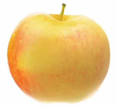Obrázok produktu pre Malus Domestica James Grieve 130 cm / 5 l jabloň v črepníku - polokmeň - pestovaná v črepníku - Apple James Grieves