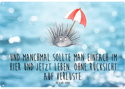 Produktbild von Mr. & Mrs. Panda Wandbild Seeigel DIN A4 - Oceanblue - Geschenk, Blechschild, Schild, Meer, tafel, Hier und Jetzt, Selbstliebe, Türschild, Lebe, wandtafel, Leben