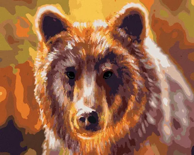 Obrázok produktu pre Zuty - Maľovanie podľa čísel - HLAVA MEDVEĎA, 40x50 cm, bez rámu a bez vypnutia plátna