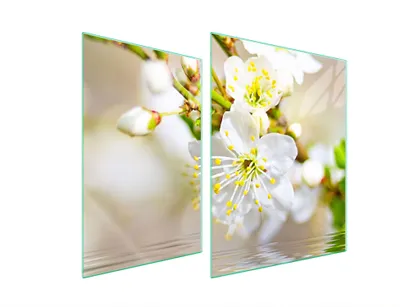 Image de Plaque De Protection Des Vitres Pour Herd 70X52 Plaume