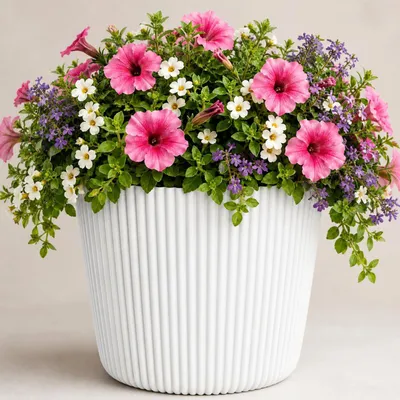 Image de Nohel Garden Cache-pot MILLY ROUND plastique d20x17cm