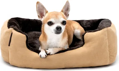 Produktbild von lionto Hundebett mit Wendekissen, rutschfester Unterseite, 50x37 cm, beige/braun