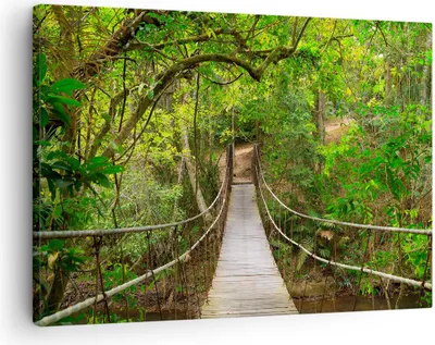 Produktbild von Bild auf Leinwand - Leinwandbild - Fußgängerbrücke Wald Abenteuer - 70x50cm - Wand Bild - Wanddeko - Leinwanddruck - Bilder - Kunstdruck - Wanddekoration - Leinwand bilder - Wandkunst - AA70x50-2678