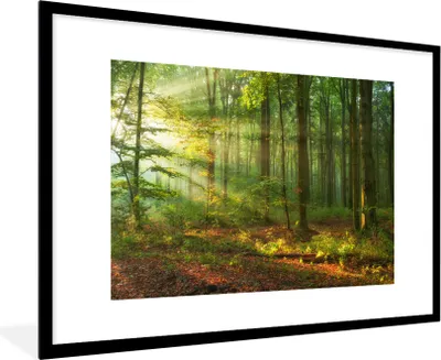 Produktbild von MuchoWow® Gerahmtes Poster Sonne - Wald - Bäume - Natur - Herbst 90x60 cm - Poster mit Schwarzem Bilderrahmen Wandposter Rahmen Foto Bilder - Wanddekoration - Fotos