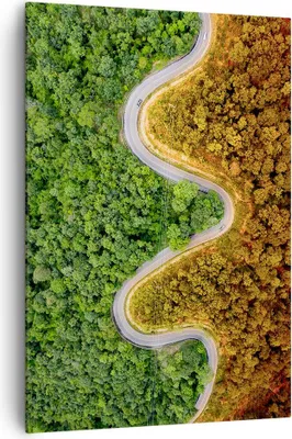 Produktbild von Bild auf Leinwand - Leinwandbild - Einteilig - Luftaufnahmen Weg Wald - 70x100cm - Wand Bild - Wanddeko - Wandbilder - Leinwanddruck - Wanddekoration - Leinwand bilder - Wandbild - PA70x100-4659