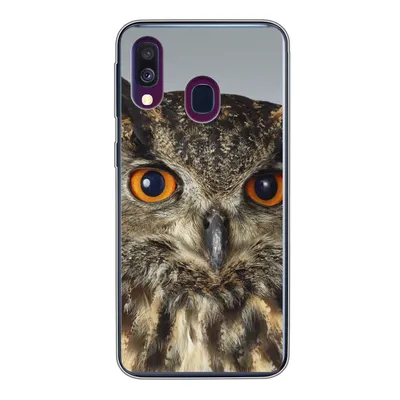 Produktbild von MuchoWow® Handyhülle Schutzhülle Hülle für Samsung Galaxy A40 Braune Eule mit hellblauem Hintergrund Silikon Softcase Handy Hülle - Handy-Tasche