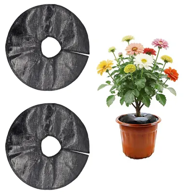 Produktbild von Bewässerungsring 30 cm, 2 Stück, mit Wasserspeicher, für Bäume