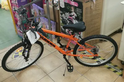 Image de Mtb 24'' "Nairobi