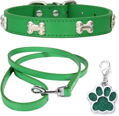 Produktbild von Halsband aus Leder, verstellbar, Größe XS, für kleine Hunde und Katzen
