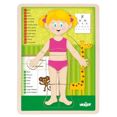 Obrázok produktu pre Puzzle "Ľudské telo" - Dievča EN