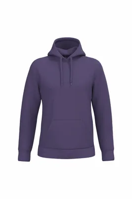 Image de Sweat à capuche pour homme Kariban