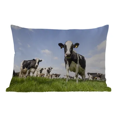 Obrázek produktu pro MuchoWow® Vnější polštář - Krávy - tráva - zvířata - slunce - farma -60x40 cm- Odolnost proti povětrnostním vlivům - polštář do obývacího pokoje
