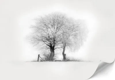 Zdjęcie produktu dla LUMASOUL Fototapeta 450x315 cm, Motyw zimowy 4, wysokiej jakości tapeta, łatwa w montażu, premium