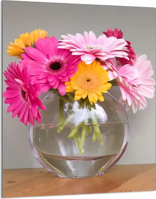 Produktbild von Herdabdeckplatte 40x52 Glaskeramikkochfeld Abdeckung Spritzschutz Glasplatte Deko Schneidebrett, Gerbera Bunt