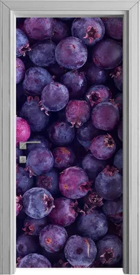 Produktbild von Tür Selbstklebende 90x210 cm Türfolie Türtapete Klebefolie - Schattenbeere Obst