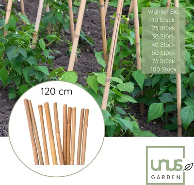 Produktbild von UNUS Bambusstäbe 40 Stück, Rankstäbe, Pflanzenstäbe Bambus 120cm naturfarbend